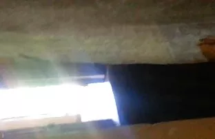 Egy kutya a rák az ágyon, majd lehetővé teszi, szexvideo letoltes hogy a ribanc vele egy ujjal