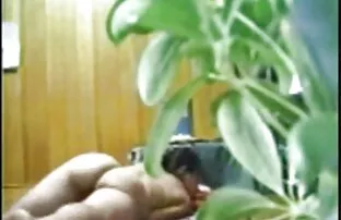 Bloom elragadta által xxx rajzfilmek simogatta